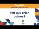 Palestra: Por que criar ovinos?