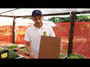 Palestra Sistema de Cultivo Hidropônico