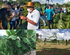 sistemas-agro.jpg