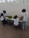 O Projeto é realizado na unidade de Gurupi