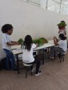 O Projeto é realizado na unidade de Gurupi