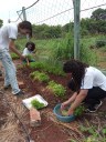 O Projeto é realizado na unidade de Gurupi