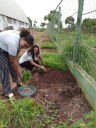 O Projeto é realizado na unidade de Gurupi