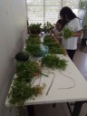 O Projeto é realizado na unidade de Gurupi