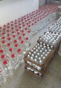 Álcool em gel produzido pelo IFTO