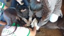 Visita técnica
