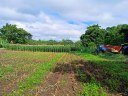 setor-produtivo-ifto-araguatins-pastagem.jpg
