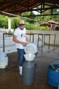 setor-produtivo-ifto-araguatins-zootecnia2.JPG