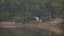 Garça-moura (Ardea cocoi).jpg