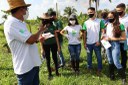 Projeto Manutenção de SAFs