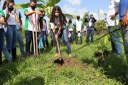 Projeto Manutenção de SAFs