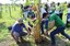 Projeto Manutenção de SAFs