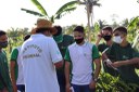 Projeto Manutenção de SAFs