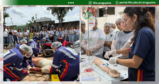 Imagem dividida em duas fotos sobre atividades do curso de Enfermagem, com uma barra verde no topo indicando as redes do IFTO Araguaína.
Esquerda: Em ambiente externo, quatro estudantes de macacão azul simulam o socorro a uma vítima de acidente de trânsito caída no chão. Ao fundo, uma moto vermelha tombada e um grupo de pessoas observam a cena.
Direita: No laboratório, uma instrutora de blusa azul e luvas demonstra um procedimento de acesso venoso em um braço mecânico de simulação. Estudantes de jaleco e touca observam atentamente.